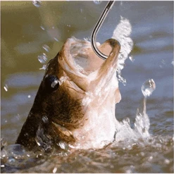 Hawkeye Marine Sonic Laser Scale SP -Professional Fishing Equipment Store 1307049 800 auto