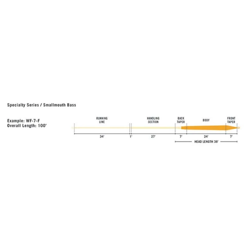 RIO Smallmouth Bass Fly Fishing Line 5 RIO Smallmouth Bass Fly Fishing Line - Image 3