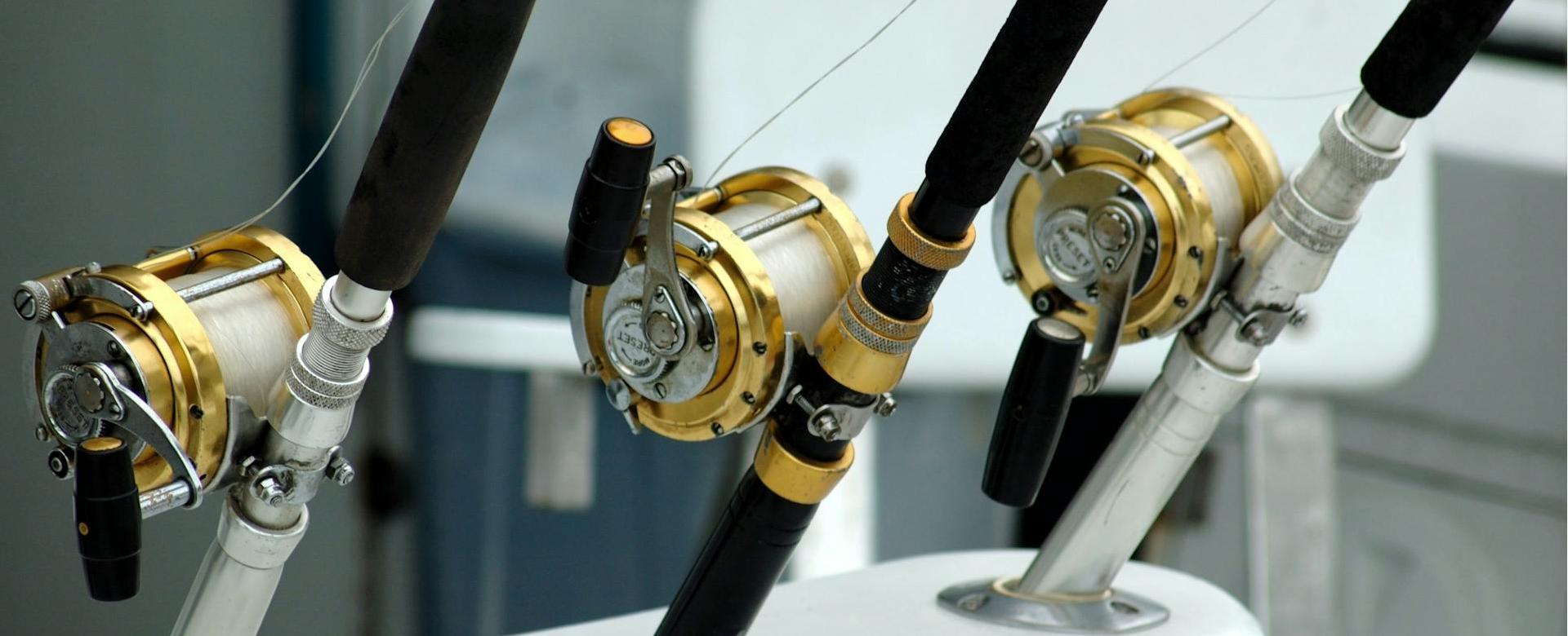 Professional Fishing Equipment Store -Professional Fishing Equipment Store pexels pixabay 209810